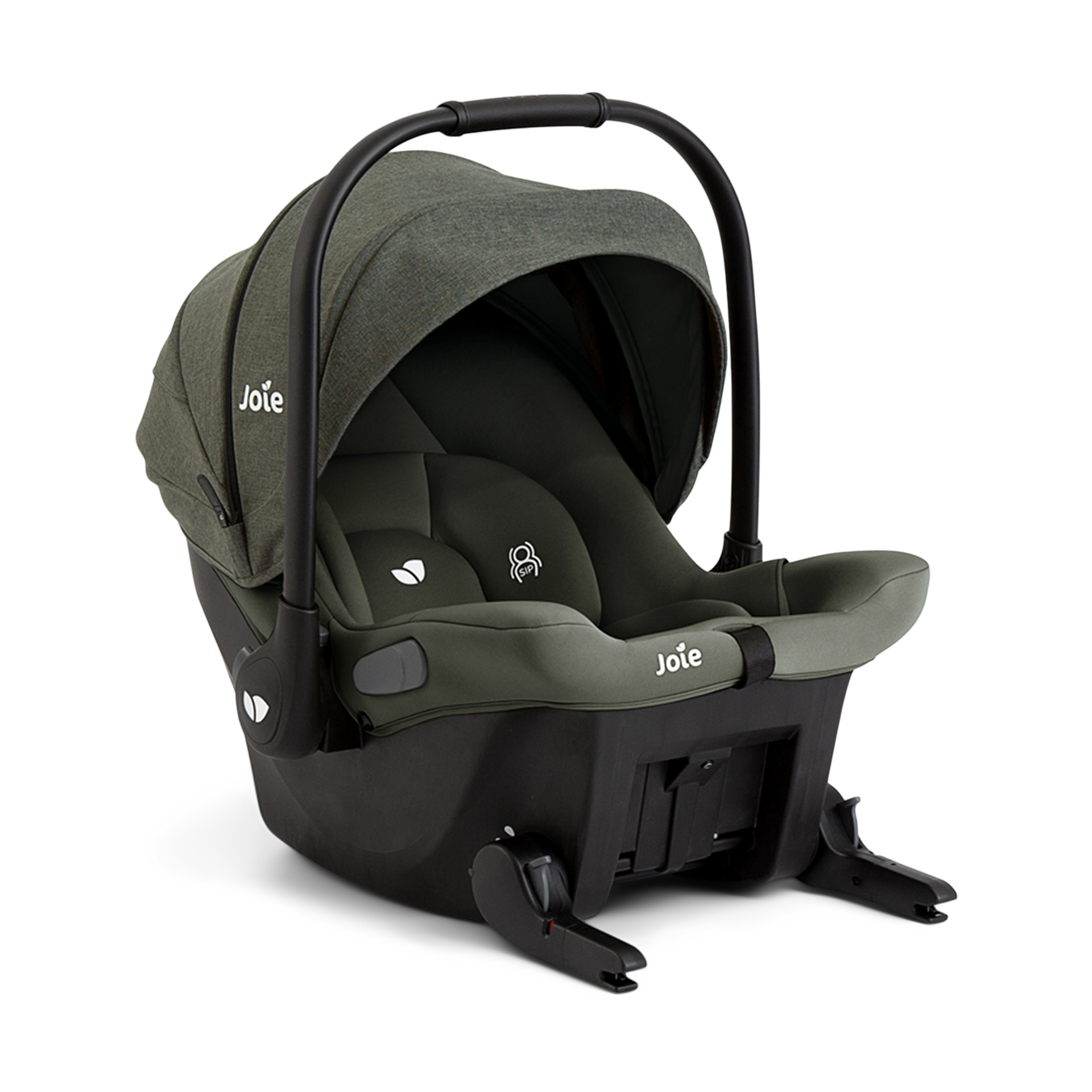 Thumbnail of Evergreen