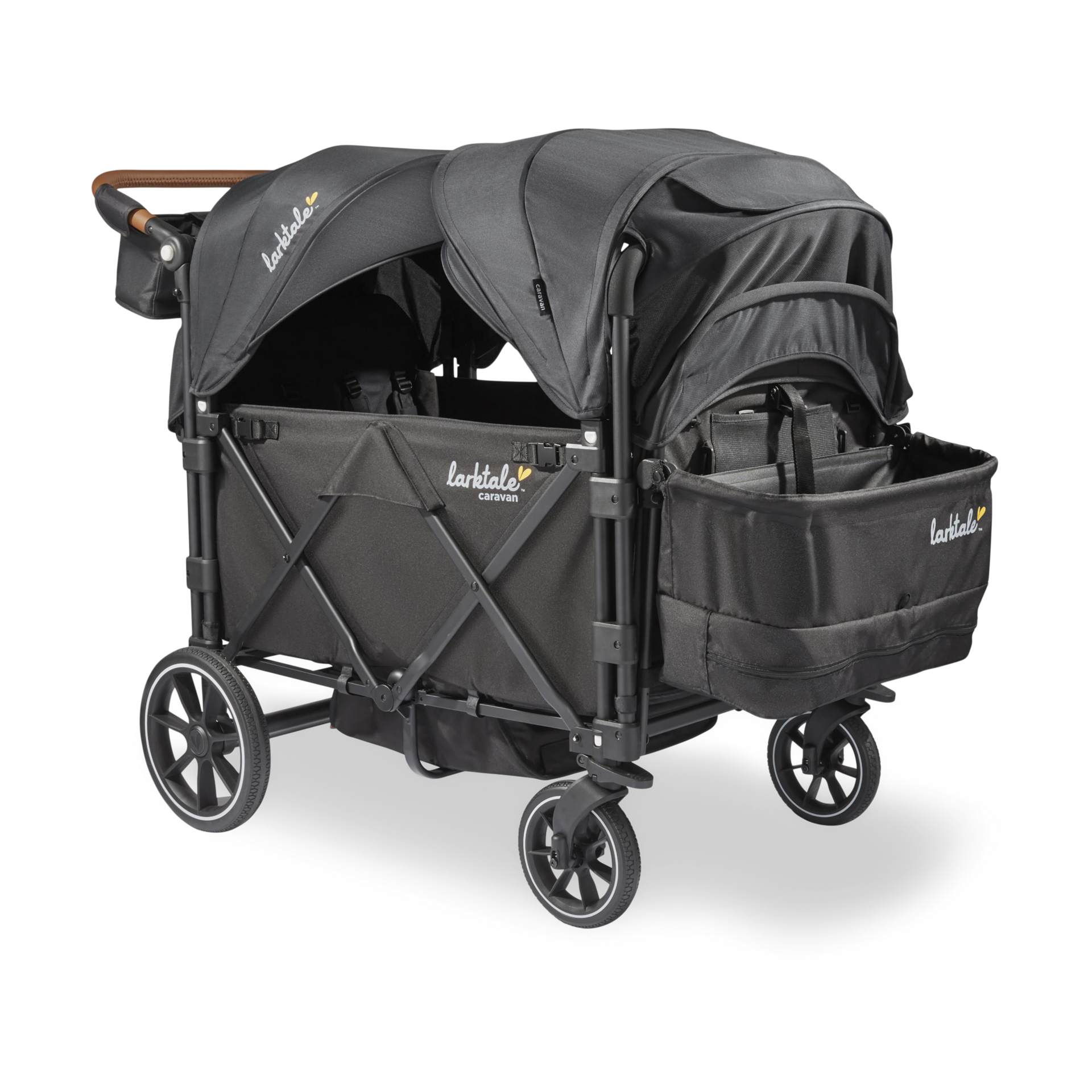 Thumbnail of Byron Black