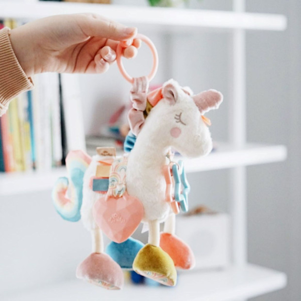 Itzy Ritzy Link & Love Activity Toy.