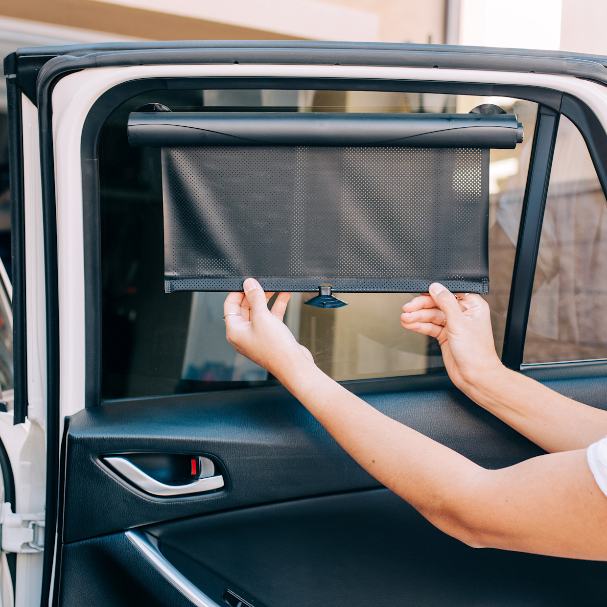 Sprucely Sun Shades (2-Pack).