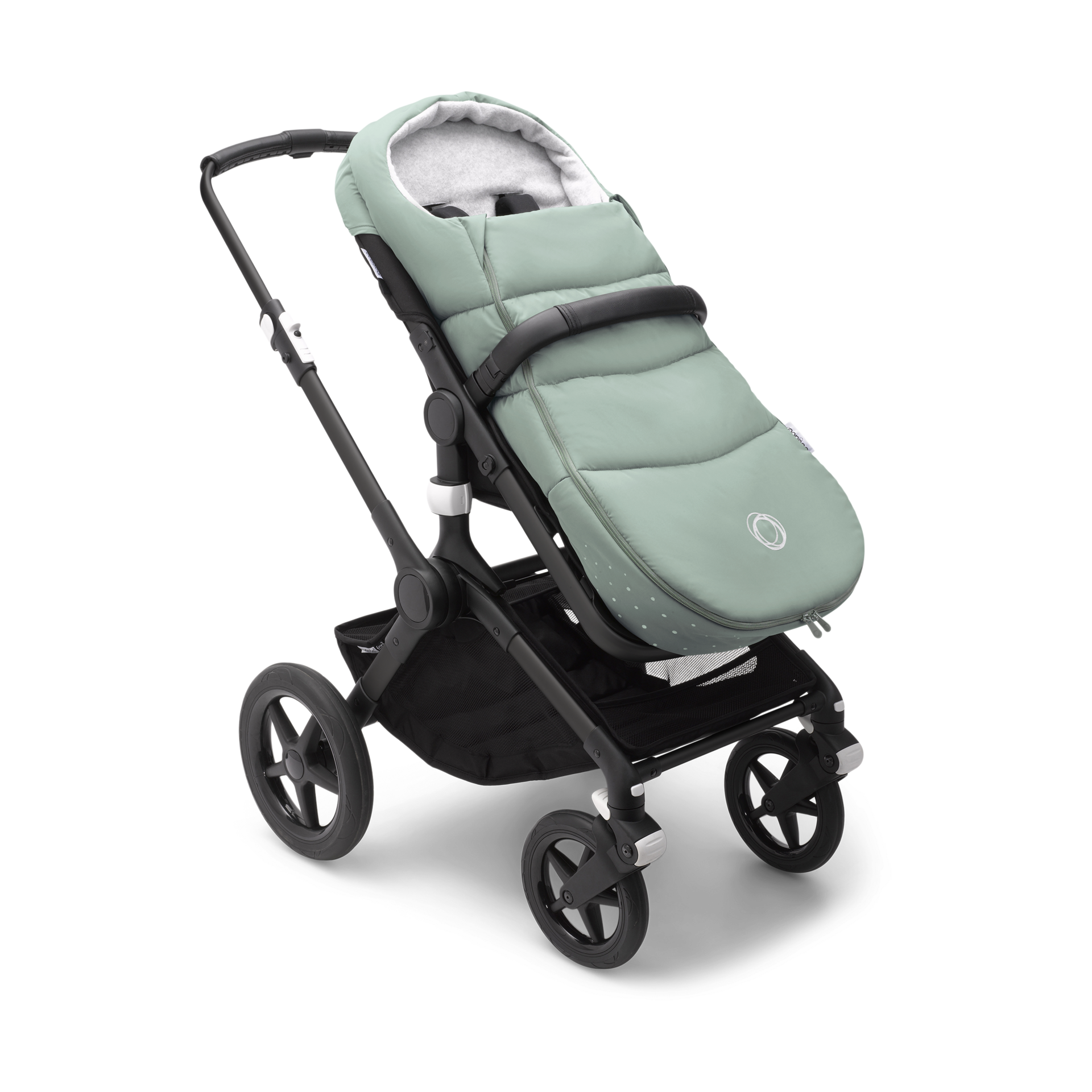 Thumbnail of Pine Green