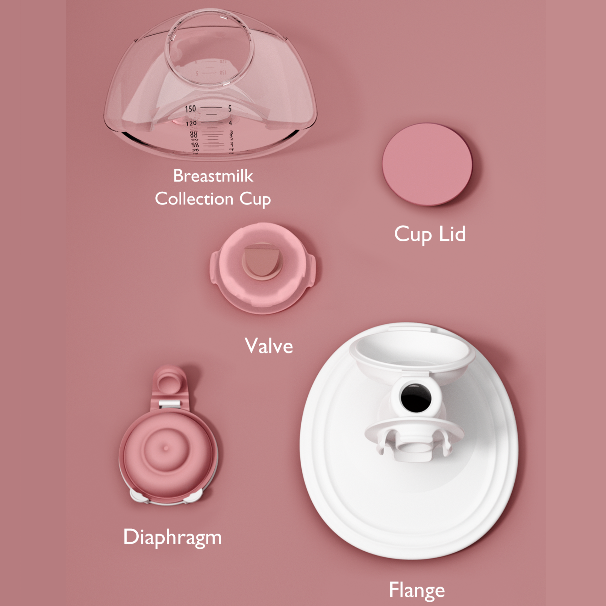 Product Image 3.