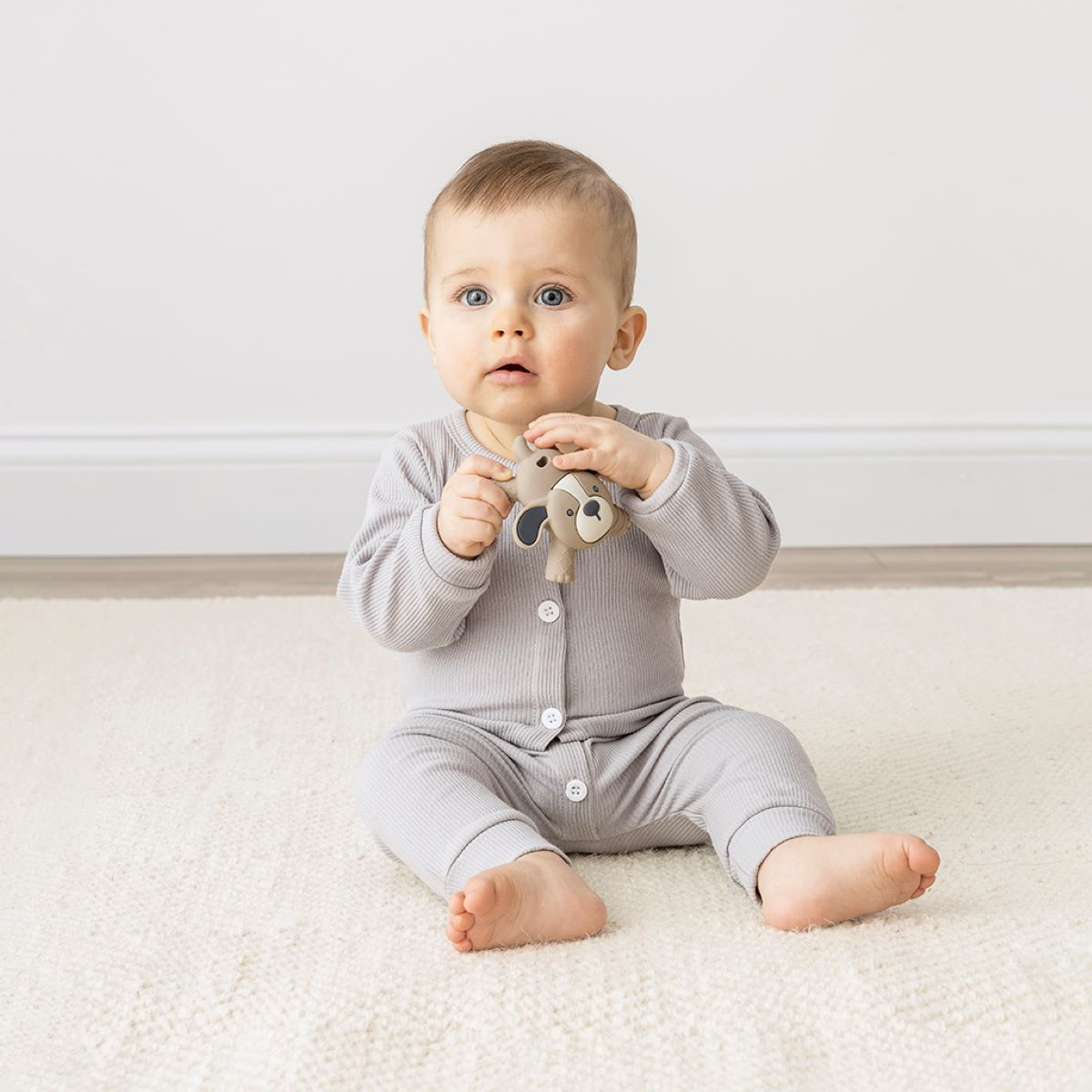 Itzy Ritzy Silicone Molar Teether - Puppy.