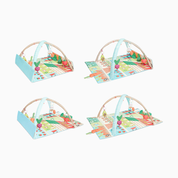 Skip Hop Farmstand Activity Gym.