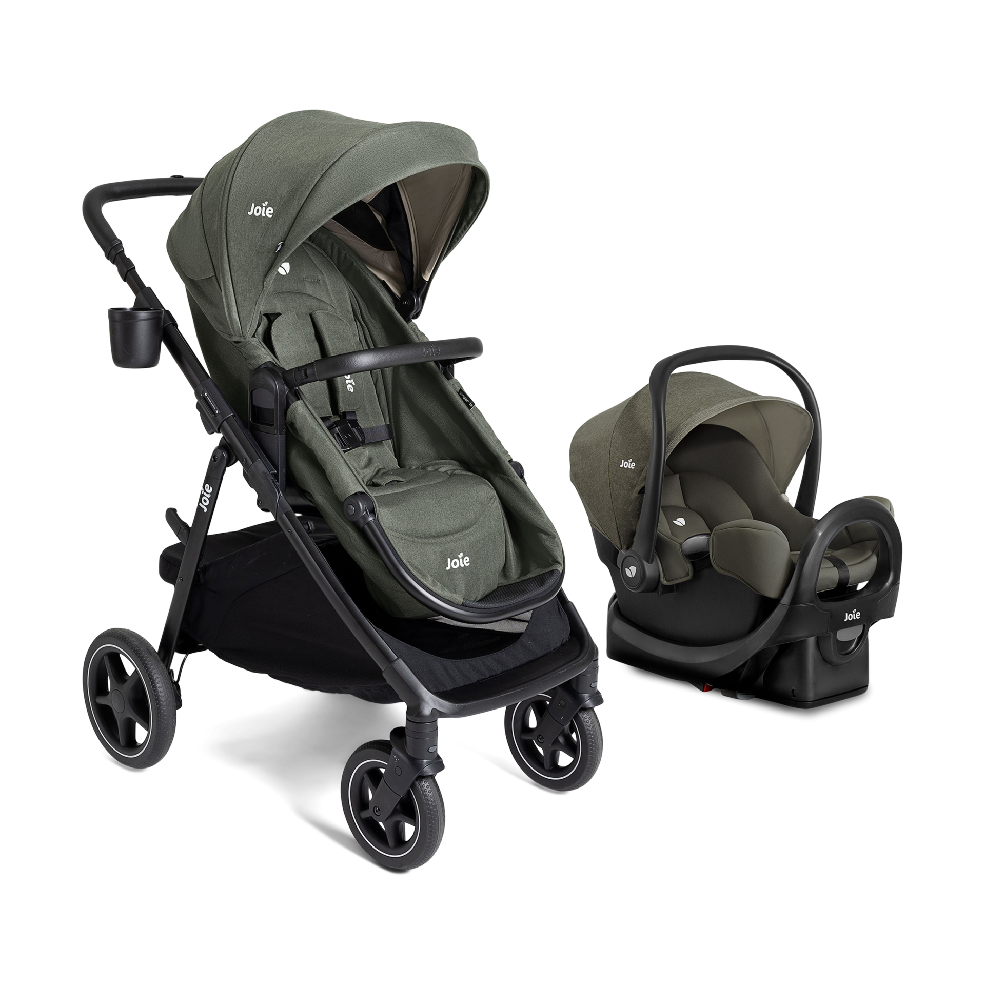 Thumbnail of Evergreen