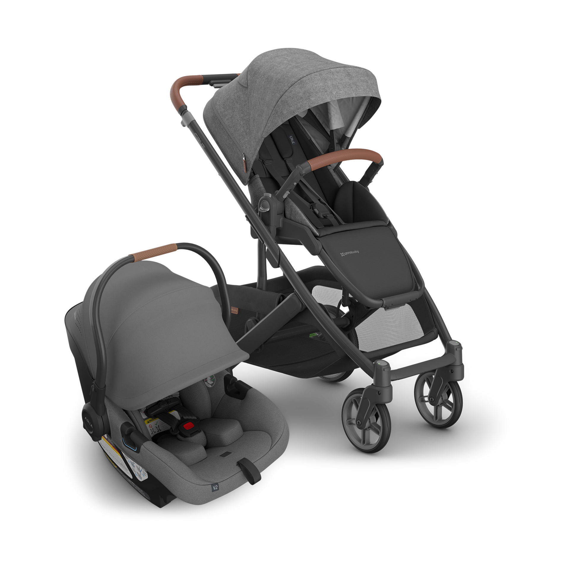 Thumbnail of Greyson