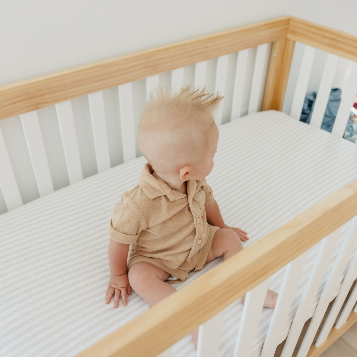 Copper Pearl Printed Premium Crib Sheet - Coastal.