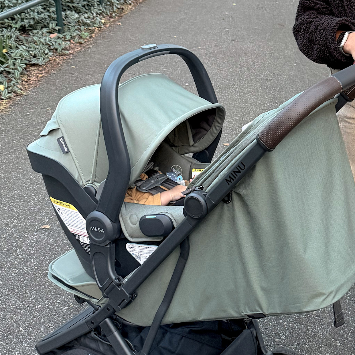UPPAbaby Minu V3 Stroller, Mesa V3 & Car Seat Adapters - Evelyn.