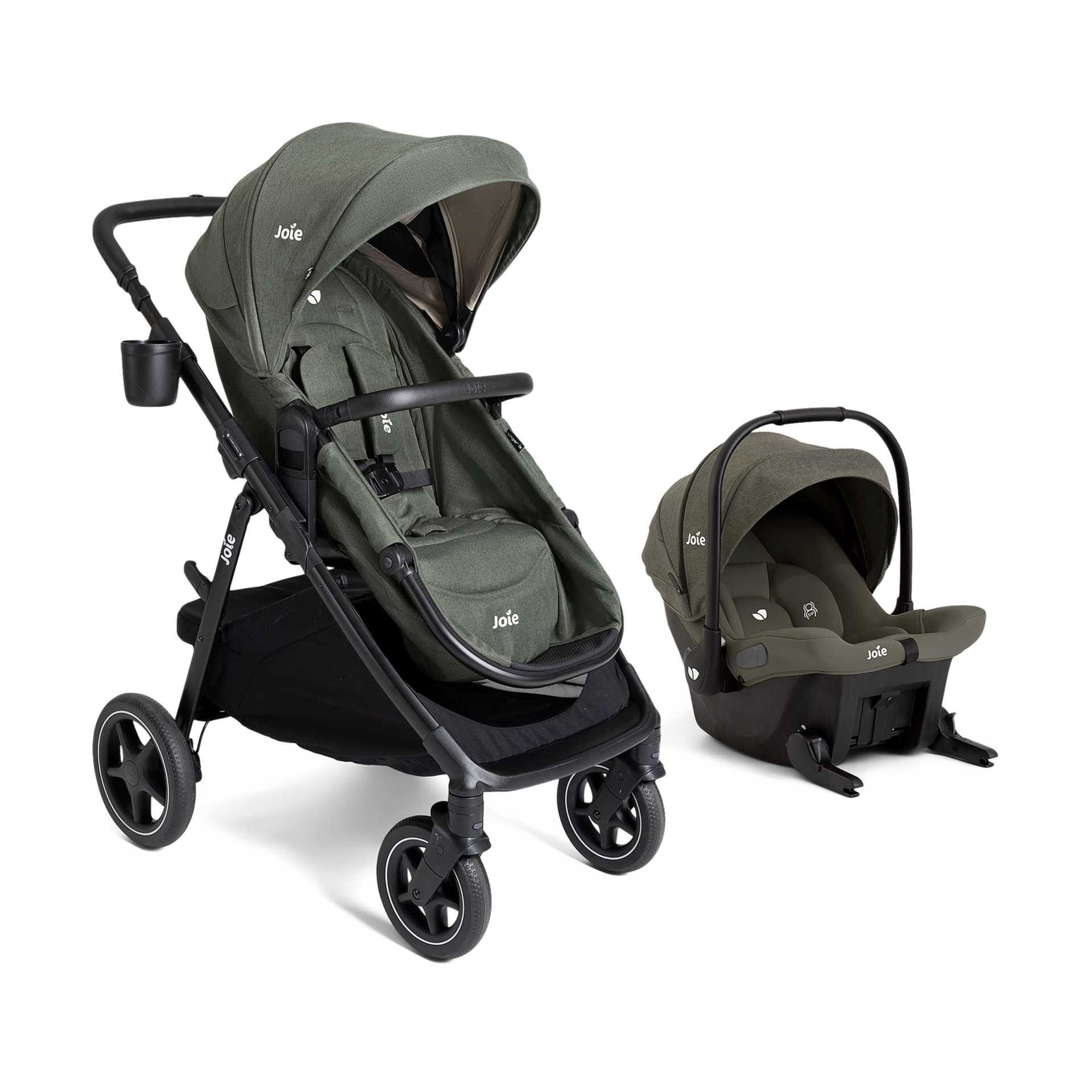 Thumbnail of Evergreen