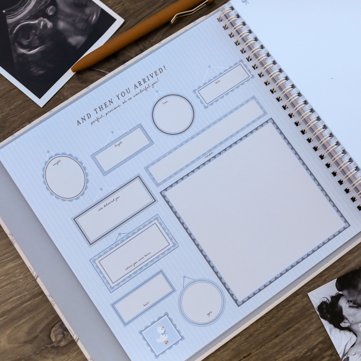 Lucy Darling Baby's First Year Memory Book - Little Goose.