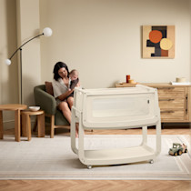 Family scene with bassinet and caregiver nearby