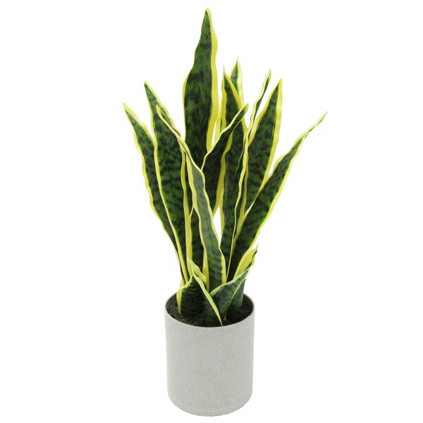 All Modern Artificial Sansevieria Snake Plant in Pot.