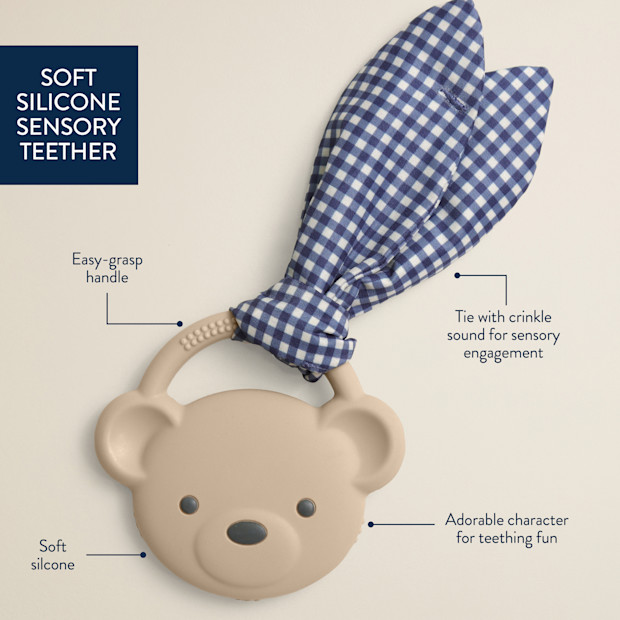 Itzy Ritzy Crinkle Crew Teether.