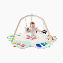 LOVEVERY | The Play Gym | Award Winning For Baby , Stage-Based Developmental Activity Gym & Play Mat for Baby to Toddler