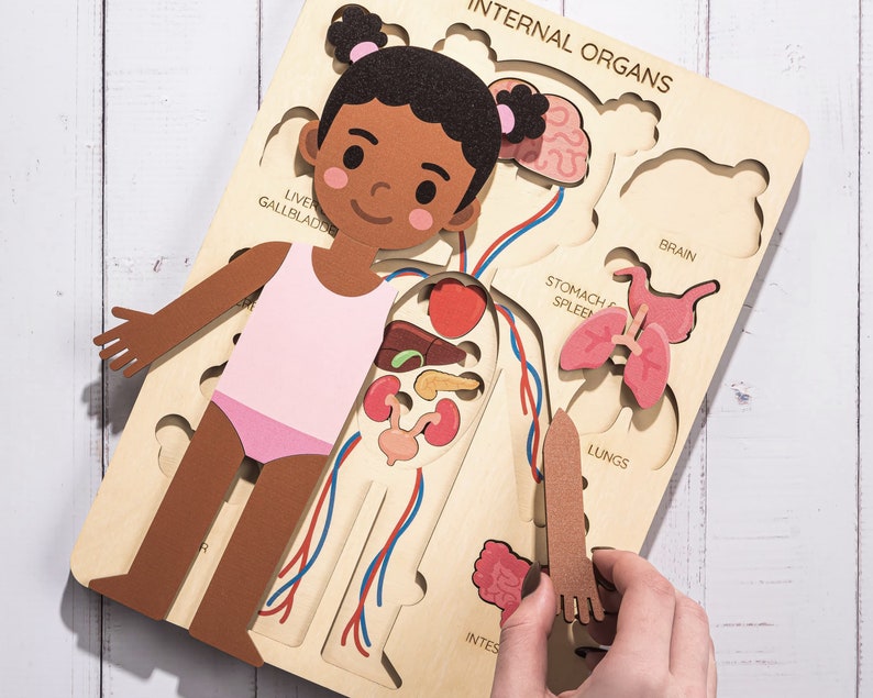 EcoBabyPuzzle Montessori Human Body Puzzle.