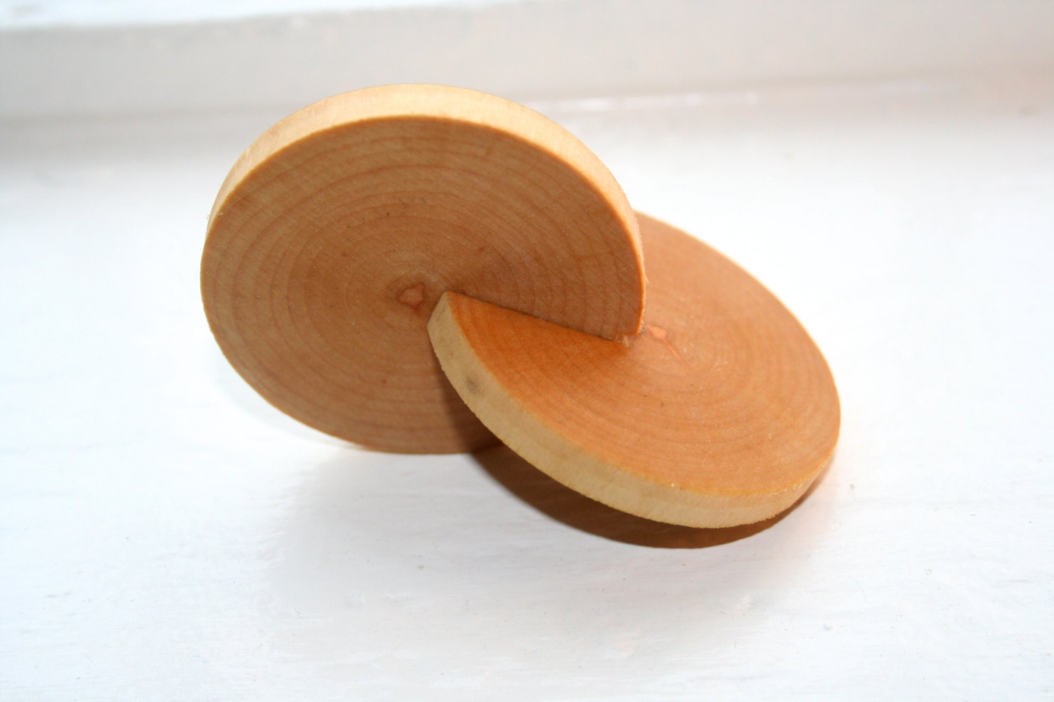 Essential Montessori Interlocking Discs.