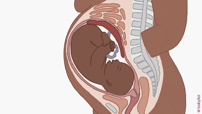 40 Weeks Pregnant: Symptoms & Baby Development - Babylist