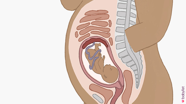 26 weeks fetal development