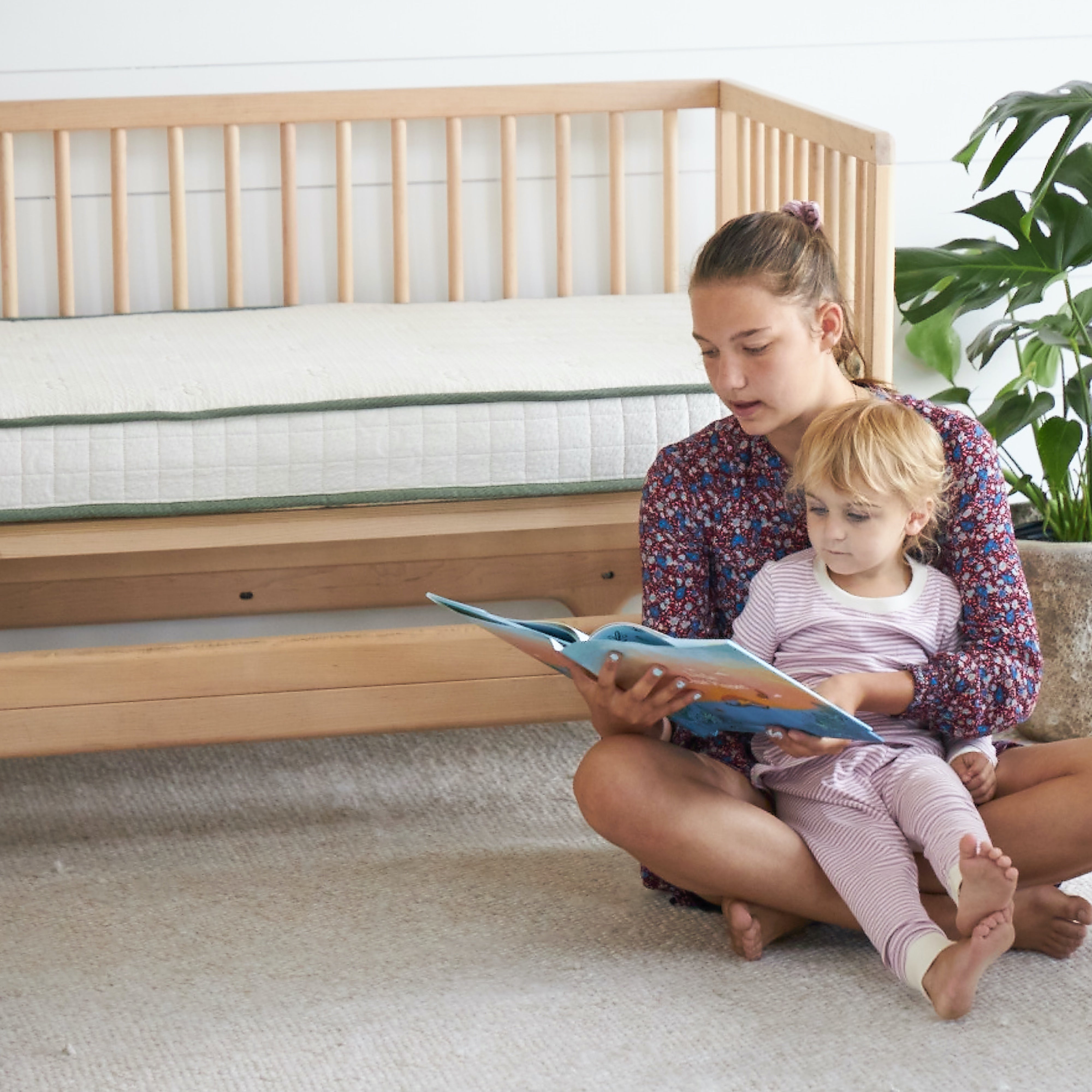 Avocado Organic Crib Mattress - $439.00.