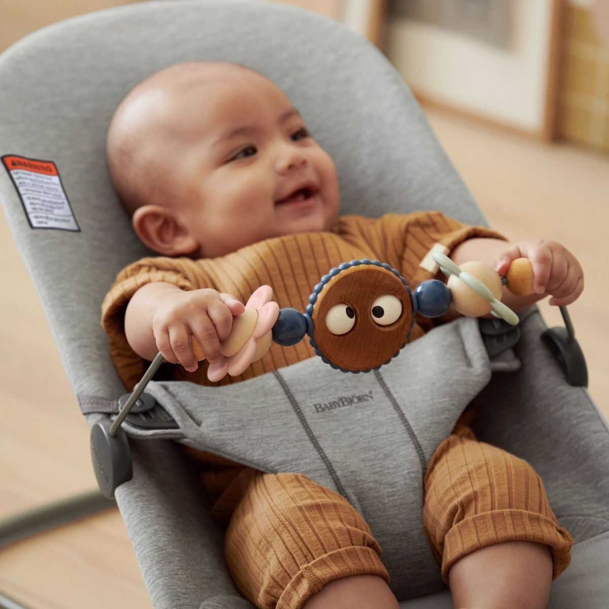 BabyBjörn Toy for Bouncer - Pastels.