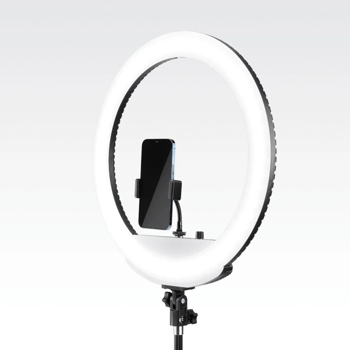 Lume Cube Portable Ring Light
 - $159.99.