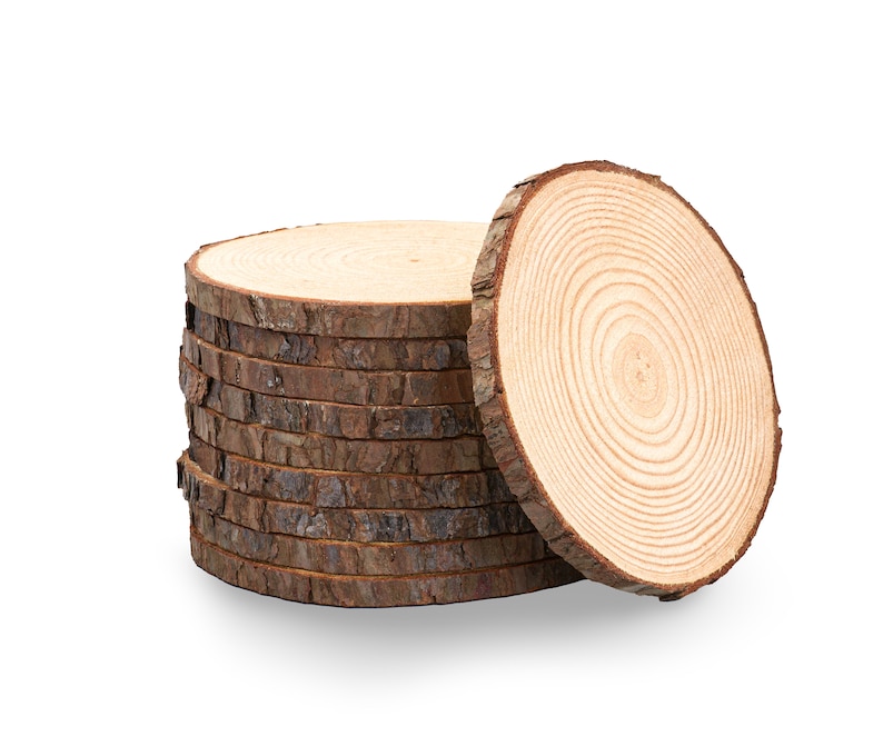 RusticWoodSlices Set of Rustic Wood Slices.