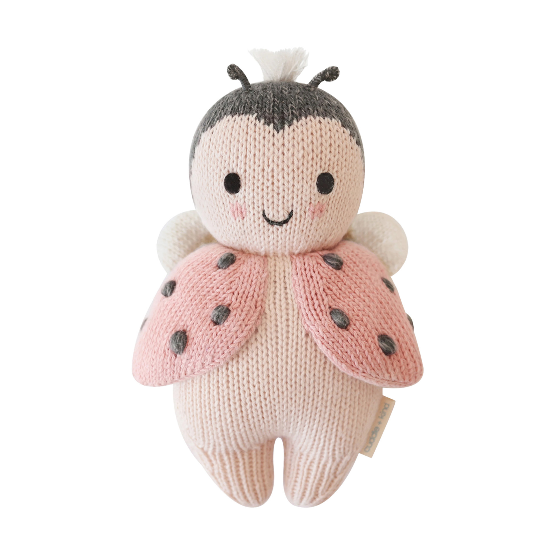 Thumbnail of Baby Ladybug