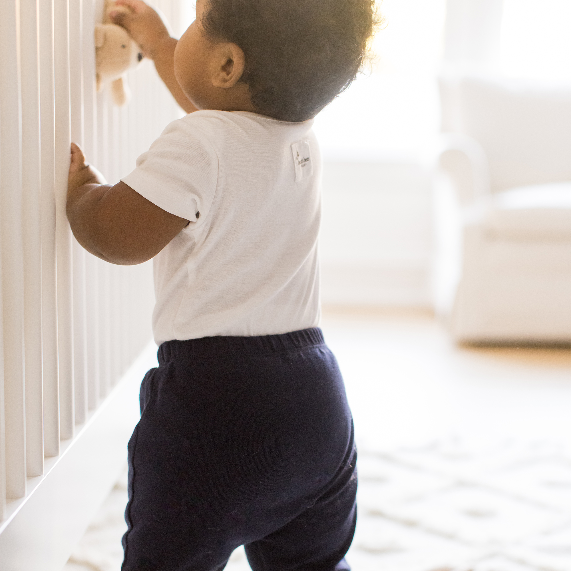 Burt's Bees Baby Organic Short Sleeve Bodysuit (5 Pack) - Midnight, 0-3 M.