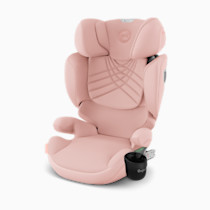 Thumbnail of Peach Pink