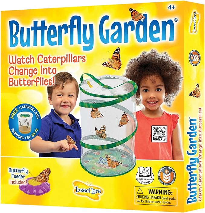 Insect Lore Butterfly Growing Kit.