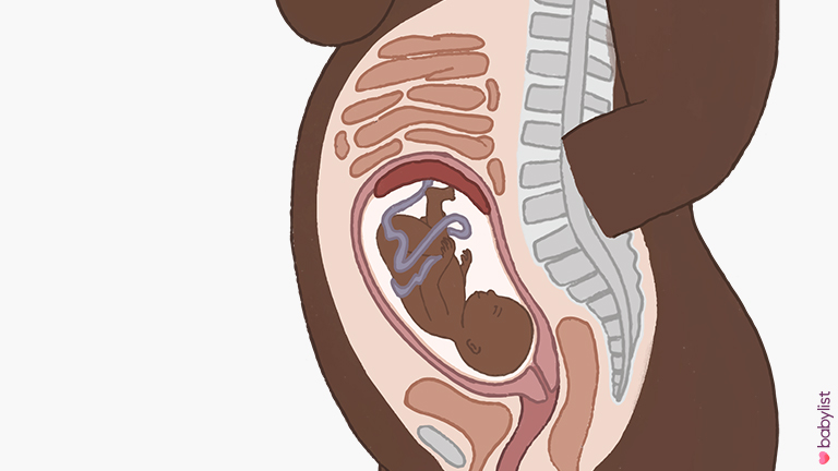 Pregnancy-Ultrasound-week-27