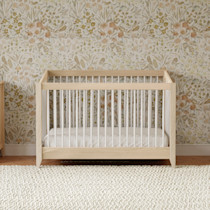 Sprout 4-in-1 Convertible Crib with Toddler Kit – Babyletto