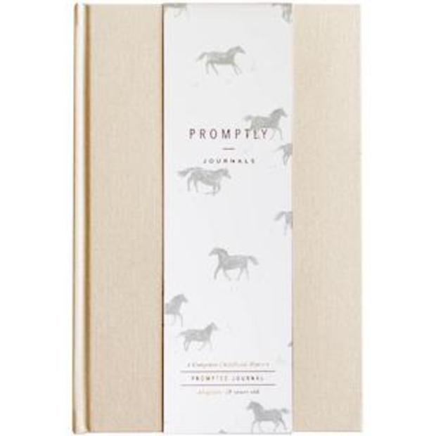 Promptly Adoption History Journal - $37.99.