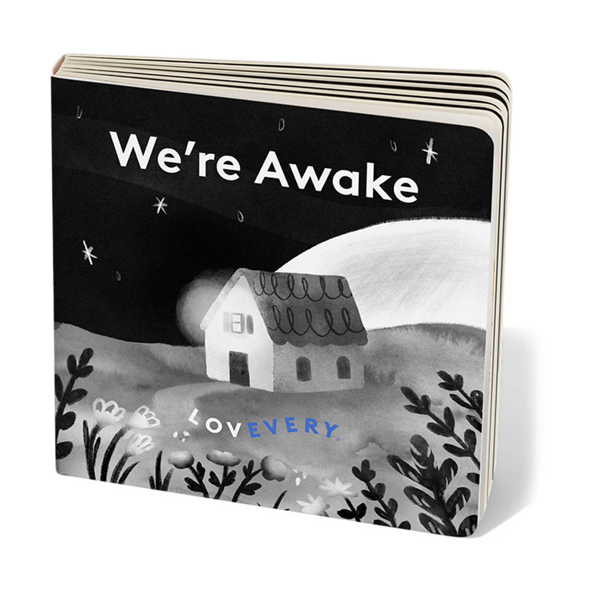 Lovevery The Looker Play Kit with Bonus Book 'We're Awake'.