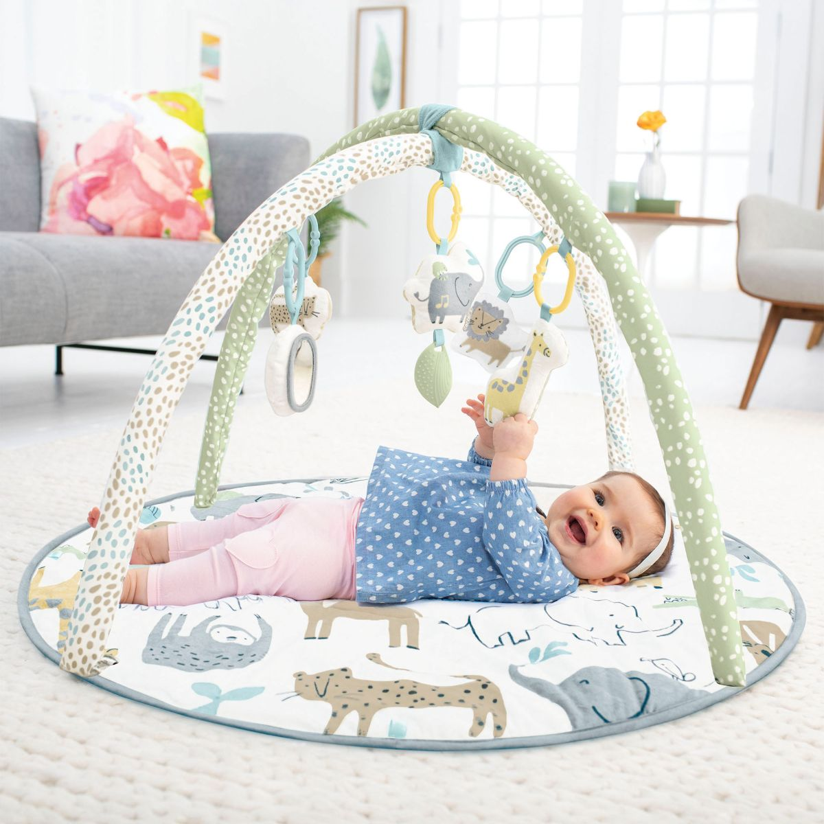 Skip Hop Carter's Activity Gym.