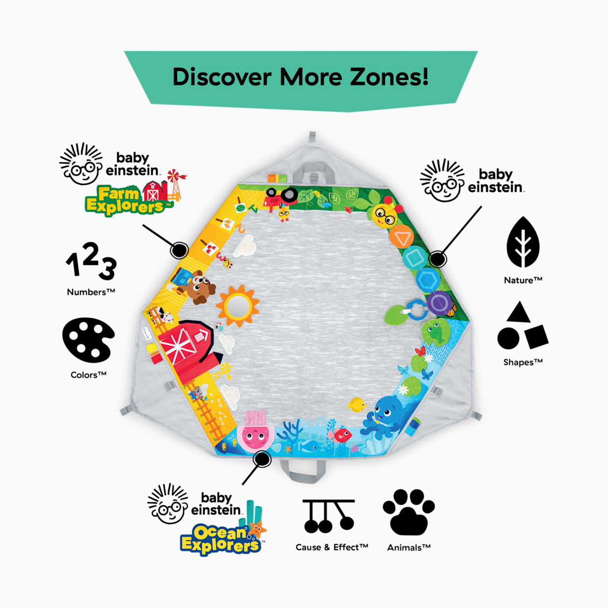 Baby Einstein Discover More 4-in-1 Developmental Play Gym & Activity Mat.