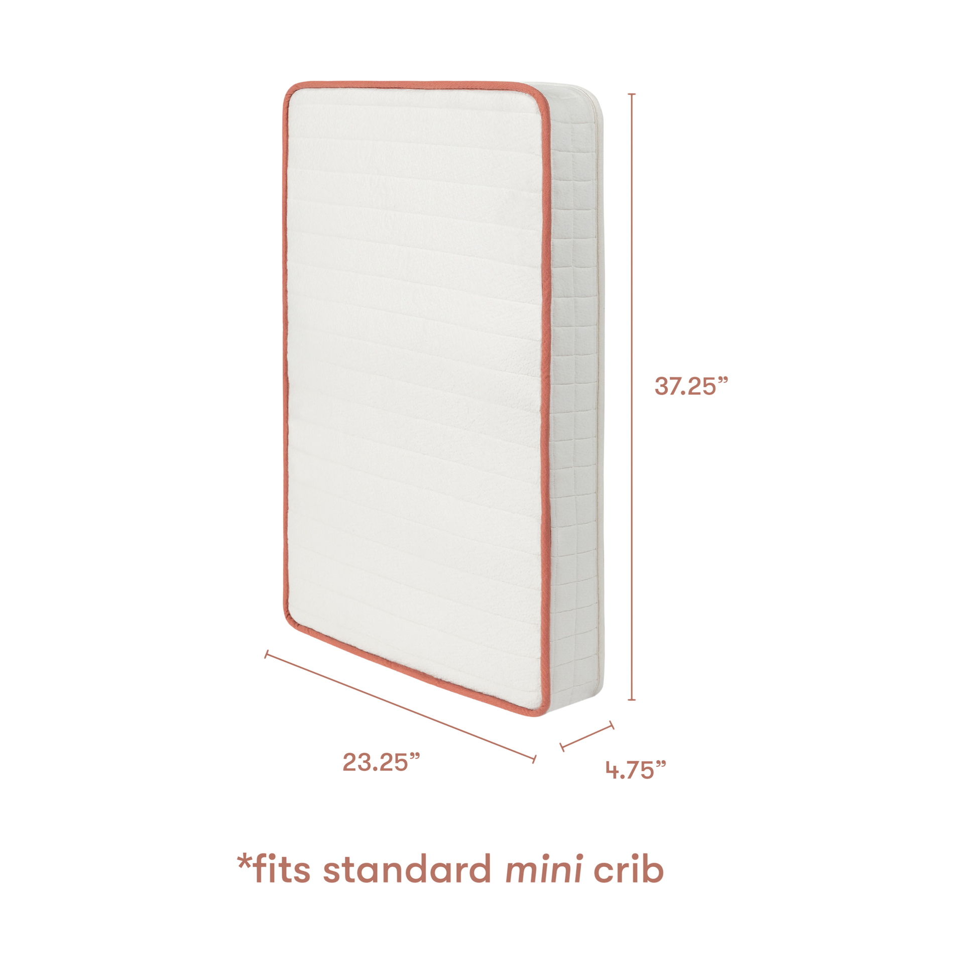 Product Image 4.