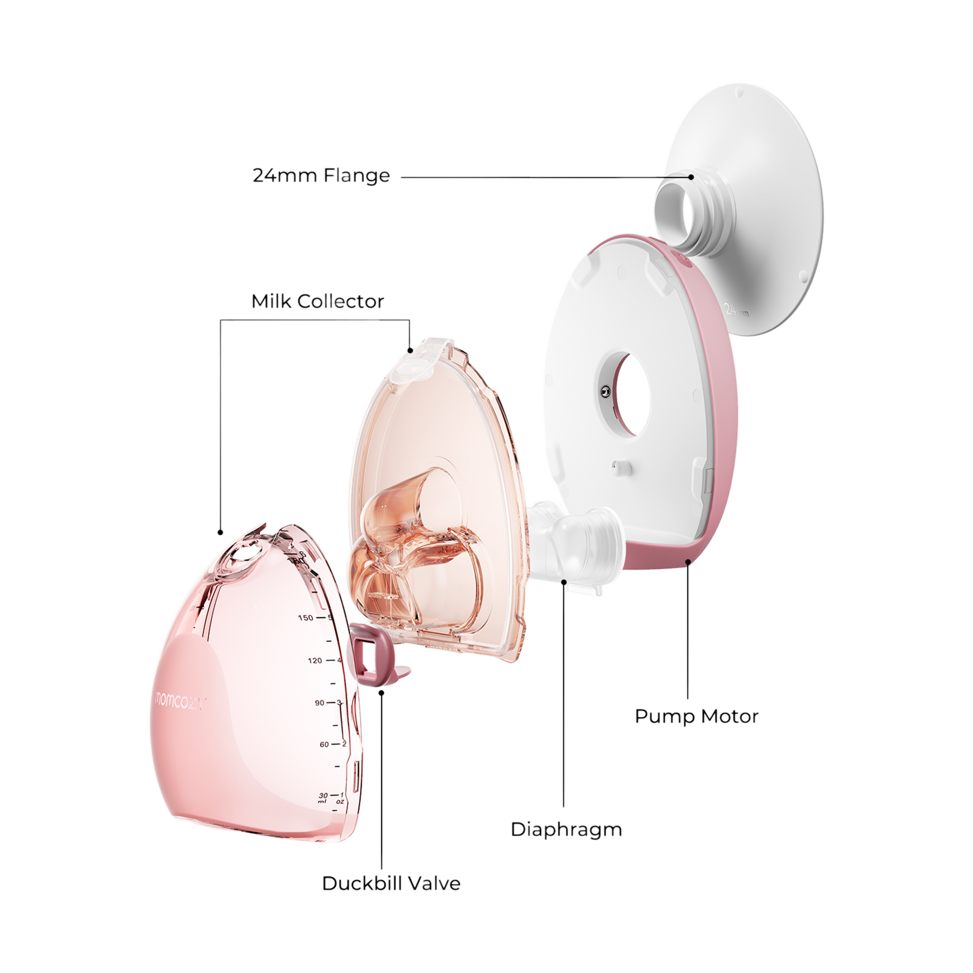 Product Image 4.