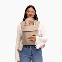 Thumbnail of Desert Lark