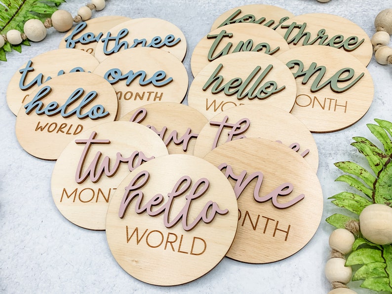 Brickhousegifts Wooden 3D Monthly Milestone Discs.