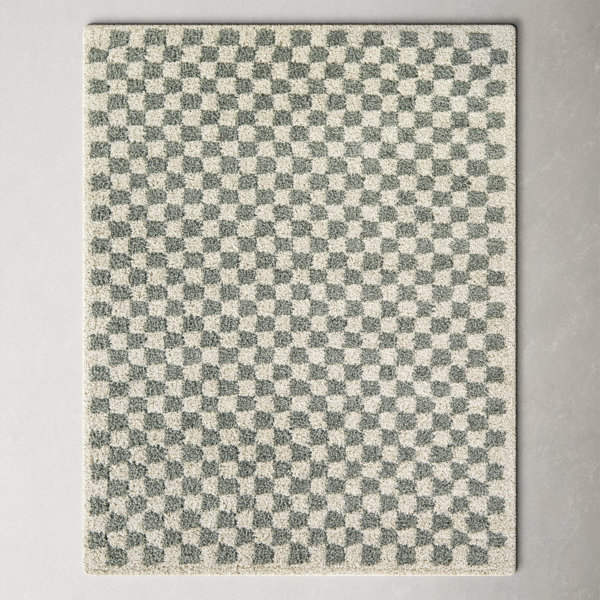 All Modern Walker Checkered Sage/Cream Shag Area Rug.