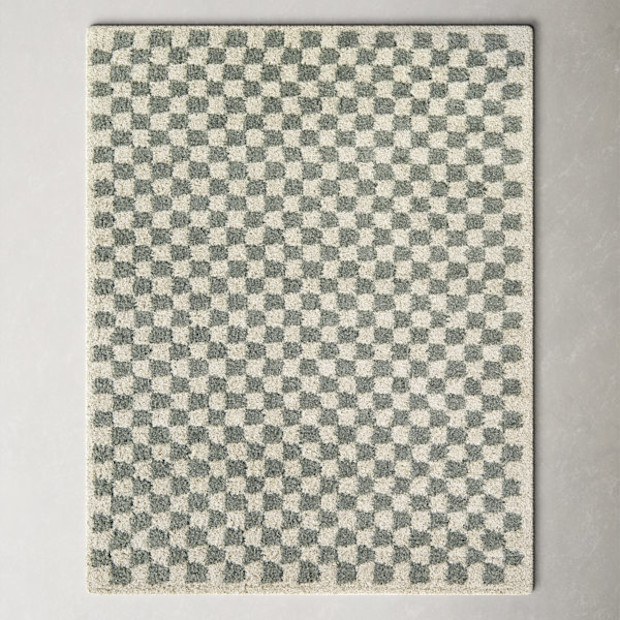 All Modern Walker Checkered Sage/Cream Shag Area Rug.