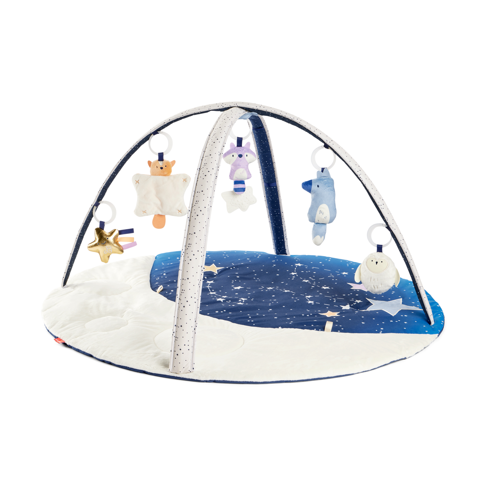 Skip Hop Celestial Dreams Activity Gym.