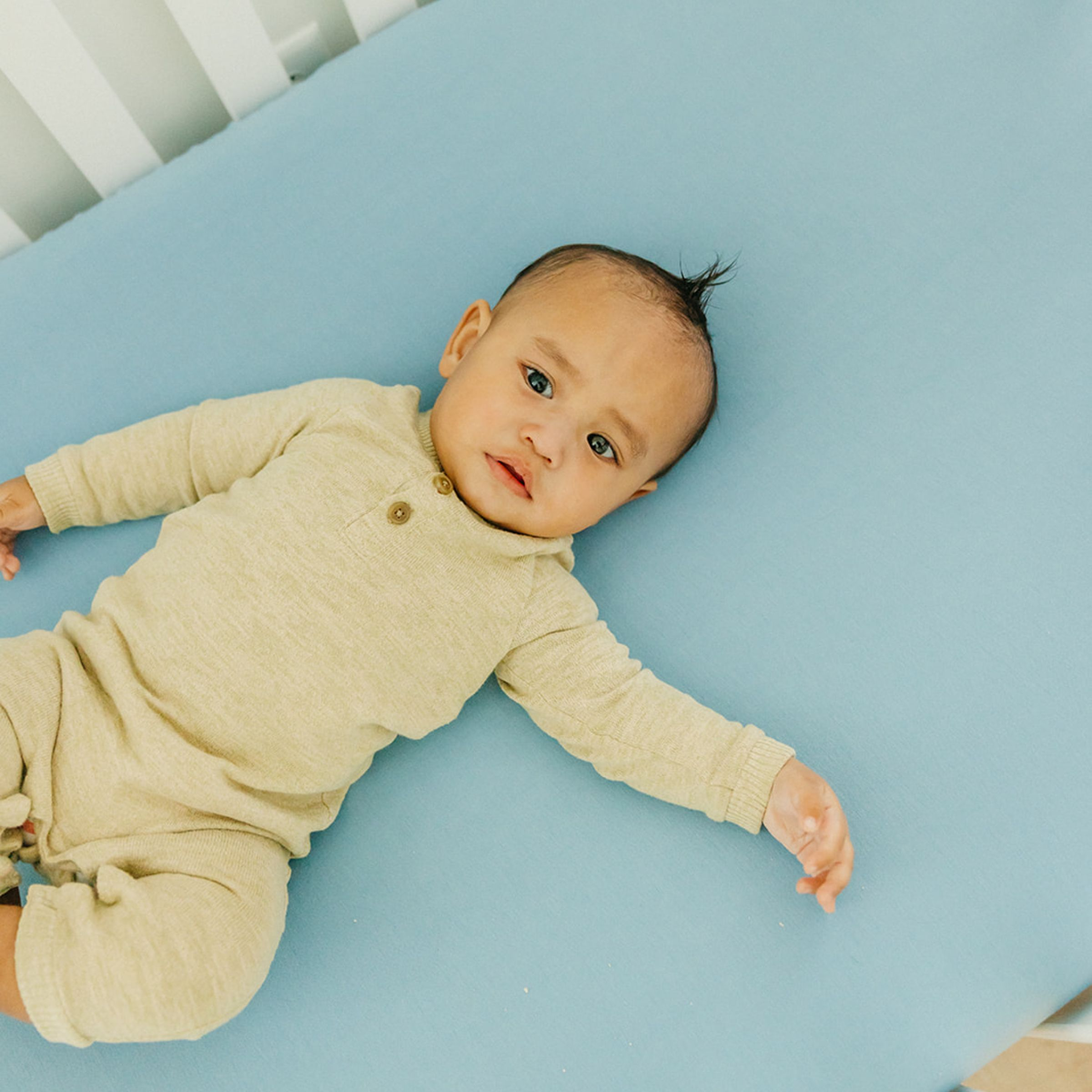 Copper Pearl Premium Crib Sheet Robin Babylist Shop