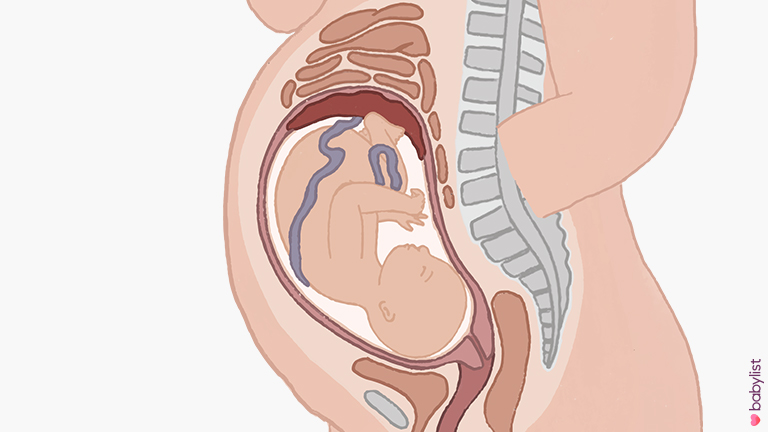 Pregnancy-Ultrasound-week-34