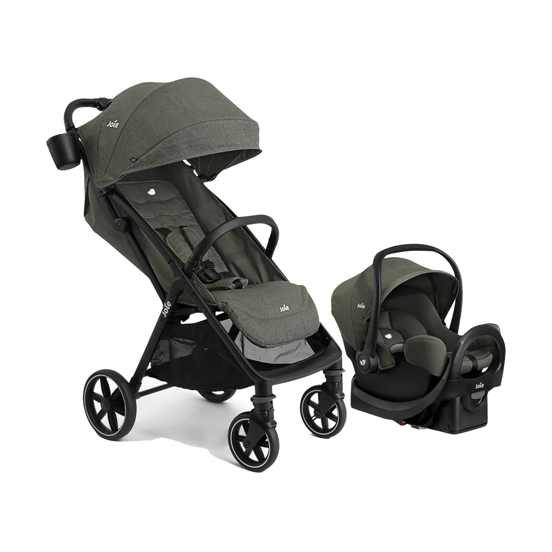 Joie Nutmeg And Rue.