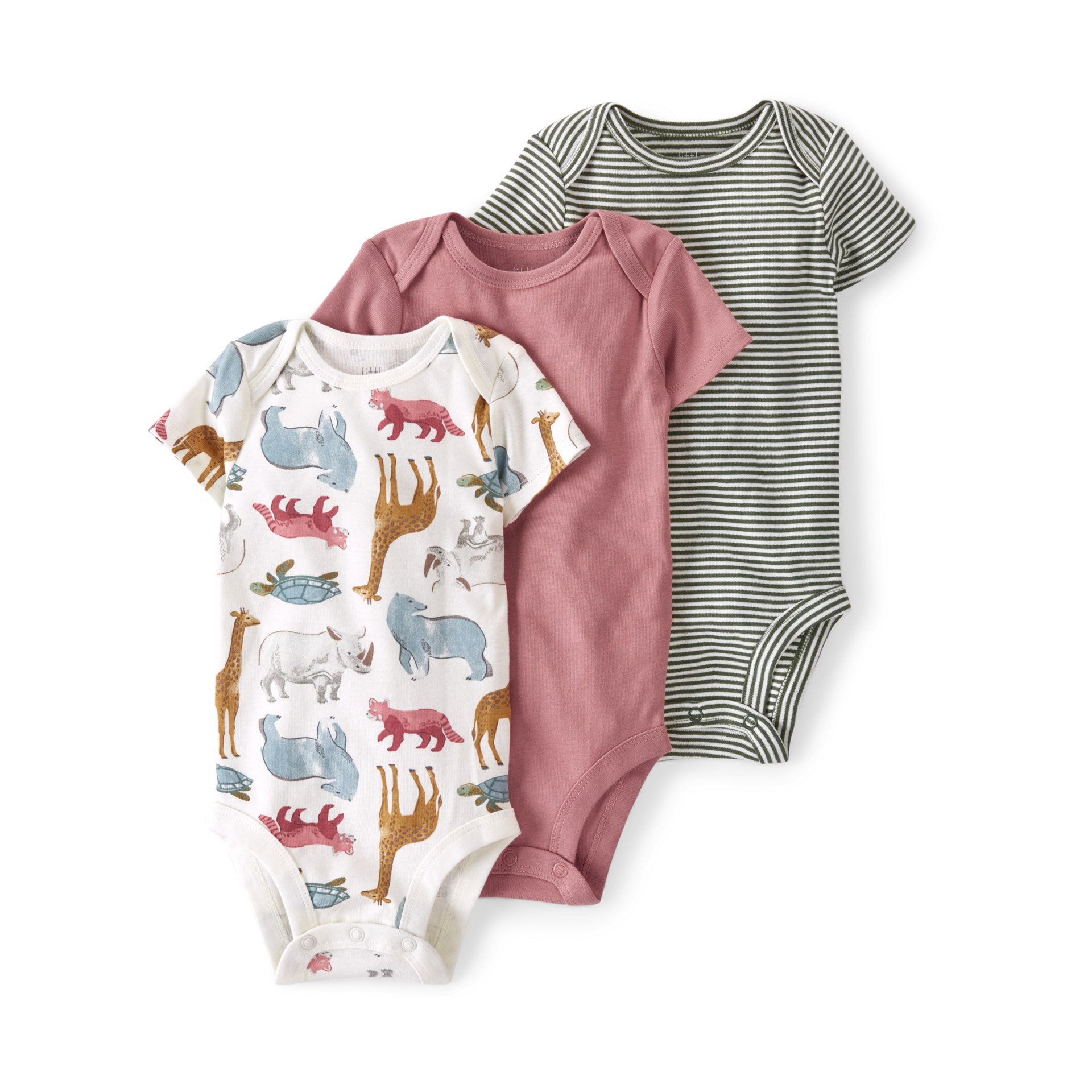 Thumbnail of Endangered Species