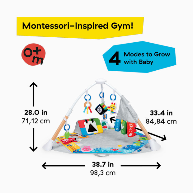 Baby Einstein Discover More 4-in-1 Developmental Play Gym & Activity Mat.