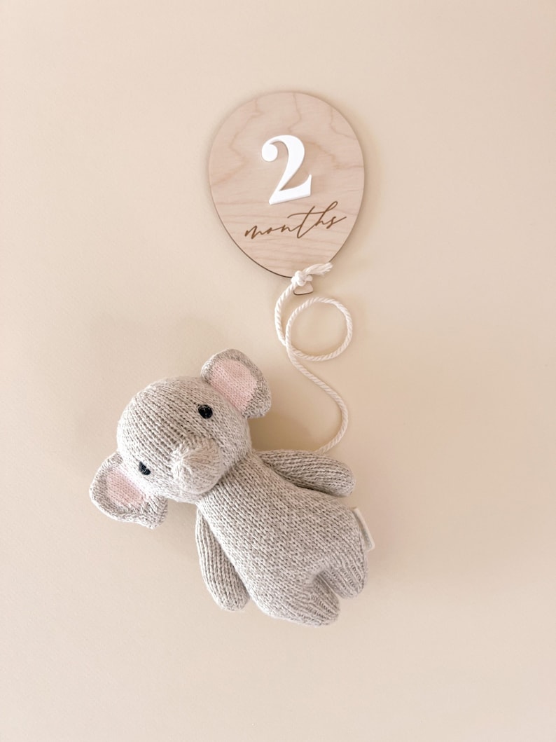 Simply Cherish Shop Balloon Milestone Markers.