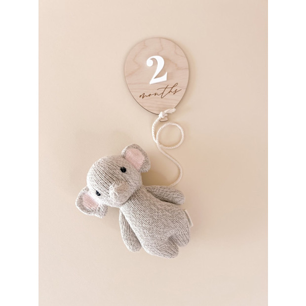 Simply Cherish Shop Balloon Milestone Markers.